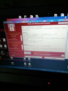 华为电脑病毒怎么打开(华为电脑病毒打开方式深度解析) 华为电脑病毒怎么打开(华为电脑病毒打开方式深度解析)