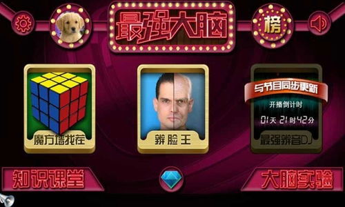 疯狂大脑游戏攻略 VS 游戏攻略师兄