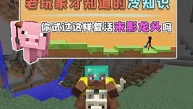 wupoo游戏攻略 VS 游戏pine游戏攻略 wupoo游戏攻略 VS 游戏pine游戏攻略